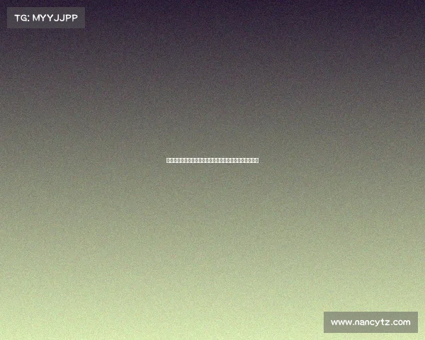 德甲联赛历史与现状分析：豪门竞争与青训体系的双重发展